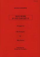 Nice Work If You Can Get It 