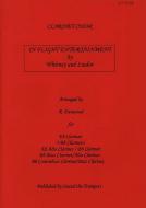 In Flight Entertainment 