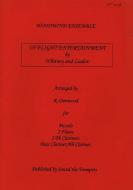 In Flight Entertainment 