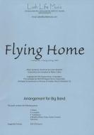 Flying Home 