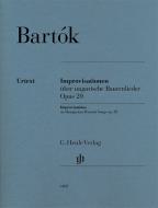 Improvisationen über ungarische Bauernlieder op. 20 
