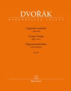 Zigeunermelodien op. 55 Standard