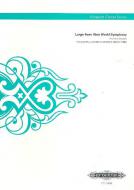 Largo from New World Symphony 