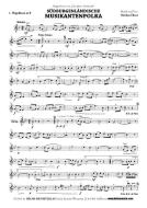 Südburgenländische Musikantenpolka 