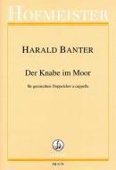 Der Knabe im Moor 