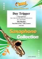 Day Tripper Standard