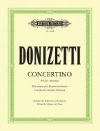 Concertino in B-Dur 