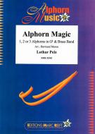 Alphorn Magic Standard
