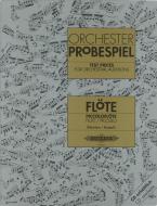 Orchester-Probespiel für Flöte/Piccoloflöte 