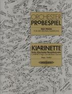 Orchester-Probespiel für Klarinette 