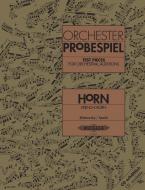 Orchester-Probespiel für Horn/Wagner-Tuba (goldenes Probespiel-Album) 