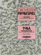 Orchester-Probespiel für Tuba/Kontrabasstuba 