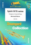 Spirit of Evasion Standard