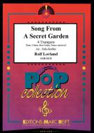 Song from a Secret Garden Download
