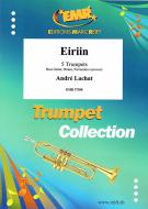 Eiriin Download