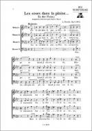 Roses dans la plaine 