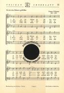 Es ist ein Schnee gefallen 