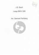 Largo from Organ Sonata No. 5 BWV 529 