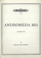 Andromeda M 31 (1966) 