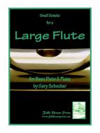 Small Sonata for A Large Flute 