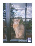 Outside My Window, Bird 