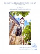 Sinfonia from Cantata No. 29 'Wir danken dir, Gott' 