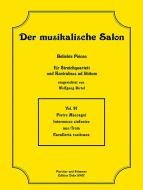 Intermezzo sinfonico 