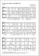 O seht, wie schön, wie lieblich ists 