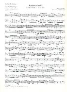 Concerto d-Moll BWV 1059R 