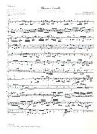 Concerto d-Moll BWV 1059R 