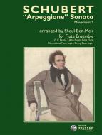 Arpeggione Sonata - Movement 1 