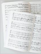 Que l'entreprise est belle Standard