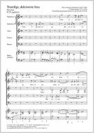 Transfige, dulcissime Jesu H 251 Standard