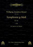 Symphonie g-Moll KV 550 1. Satz 