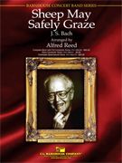 Schafe können sicher weiden 