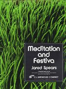 Meditation And Festiva 