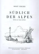 Südlich der Alpen 