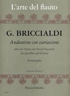 Andantino con variazioni über ein Thema von Niccolo Paganini 