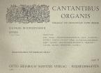 Cantantibus Organis 8 