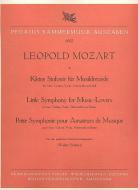 Kleine Sinfonie für Musikfreunde 