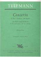 Concerto D-Dur 