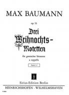 Drei Weihnachtsmotetten op. 53 