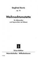 Weihnachtsmotette op. 76 