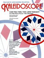 Can You Feel The Love Tonight 