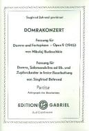 Domrakonzert 