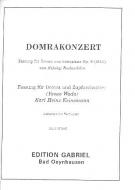 Domrakonzert 