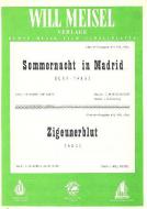 Sommernacht in Madrid 