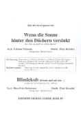 Wenn die Sonne hinter den Dächern versinkt 