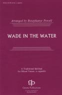 Wade In The Water 