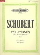Variationen e-Moll op. post. 160 D 802 
